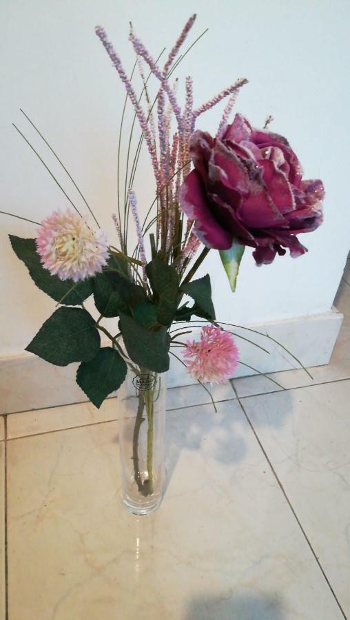 Apartment Center Roko Split Luaran gambar